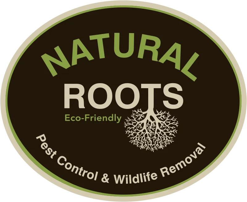 Natural Roots Pest Control & Wildlife Removal