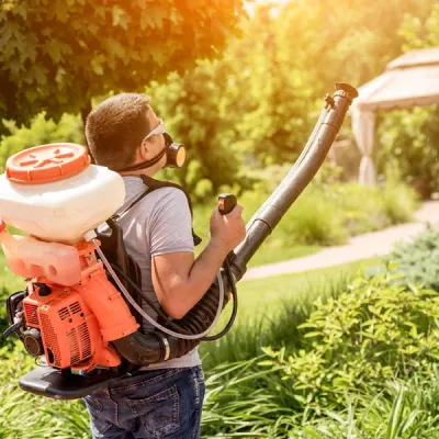 Mosquito control - spraying outdoors