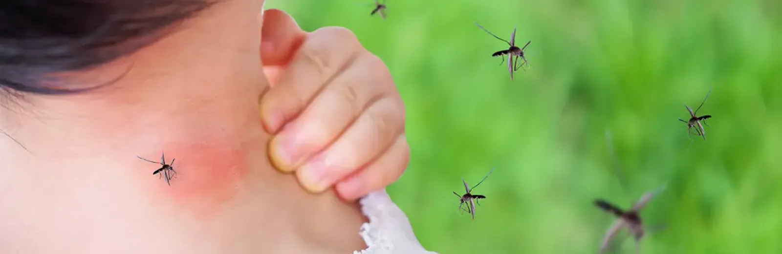 mosquitoes biting a woman's neck