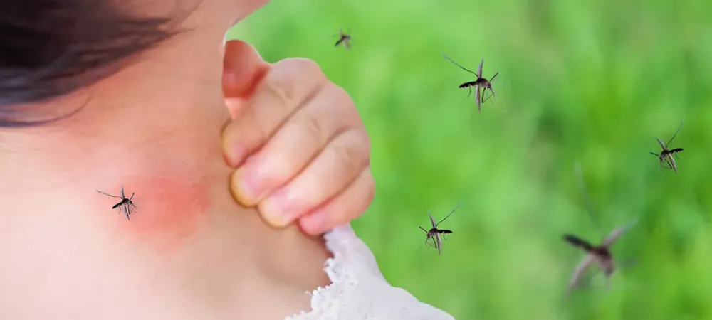 mosquitoes biting a woman's neck