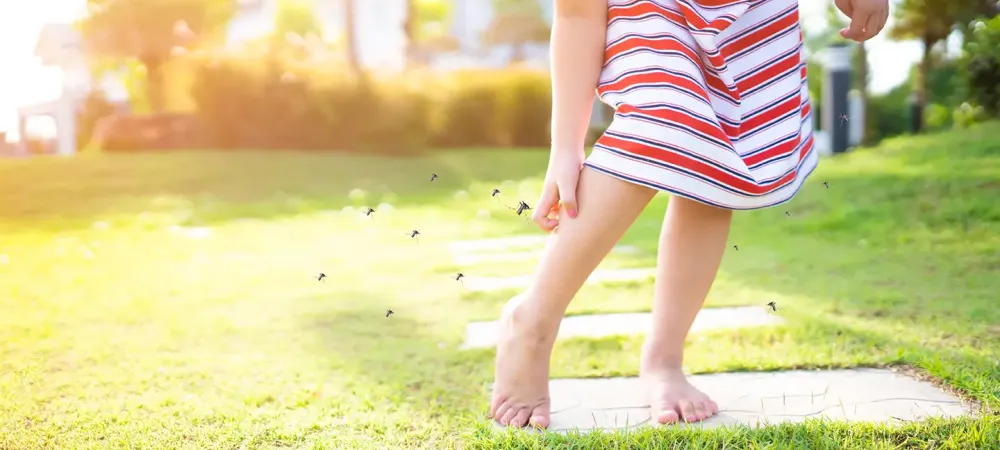 mosquitoes swarming and biting a girl
