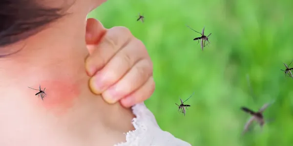 mosquitoes biting a woman's neck